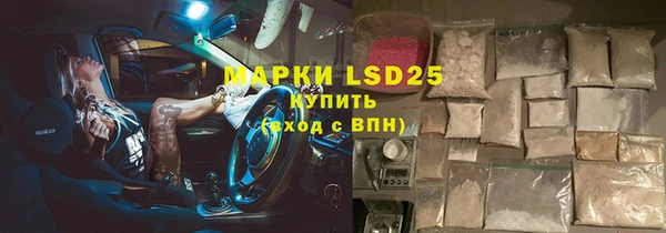 индика Козловка