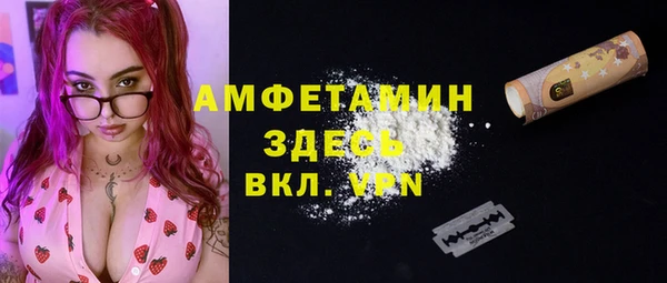 индика Козловка
