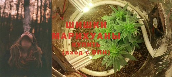 индика Козловка