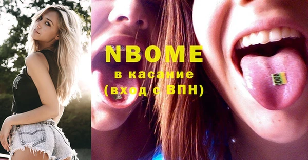 индика Козловка