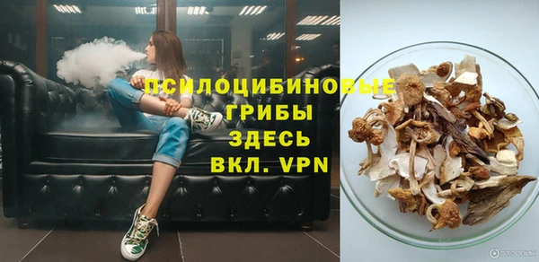 индика Козловка