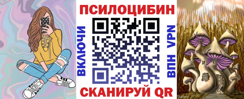 Галлюциногенные грибы Psilocybine cubensis  Купить где  Гусь-Хрустальный 
